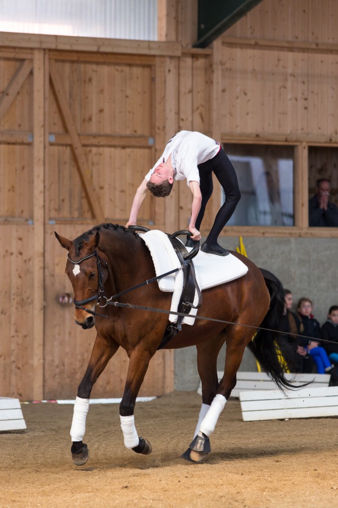 Jannick Liersch auf Elegante (3. Platz)