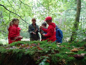 Waldspaziergang, Foto: NBH